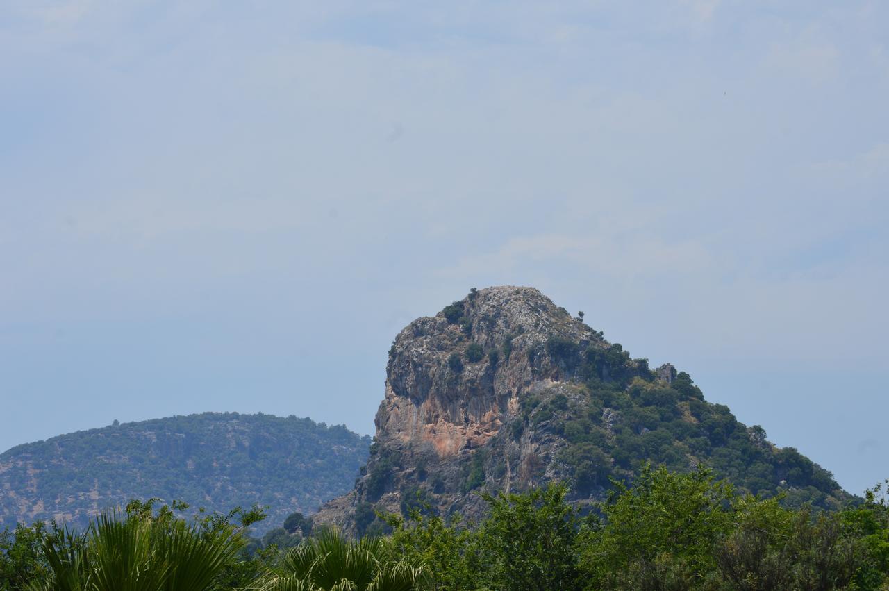 Erasmus Apart Hotel Dalyan Kültér fotó